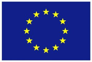 EU Logo